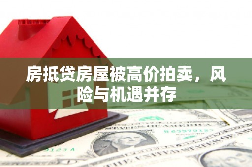 日土房抵贷房屋被高价拍卖，风险与机遇并存