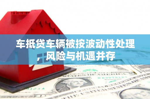 随县车抵贷车辆被按波动性处理，风险与机遇并存