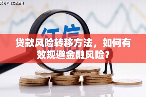 大关贷款风险转移方法，如何有效规避金融风险？